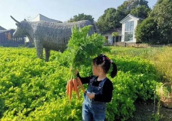 (乐缤纷什么意思)探索乐缤纷庄园农场：领略大自然的奥妙，尽享农场乐趣