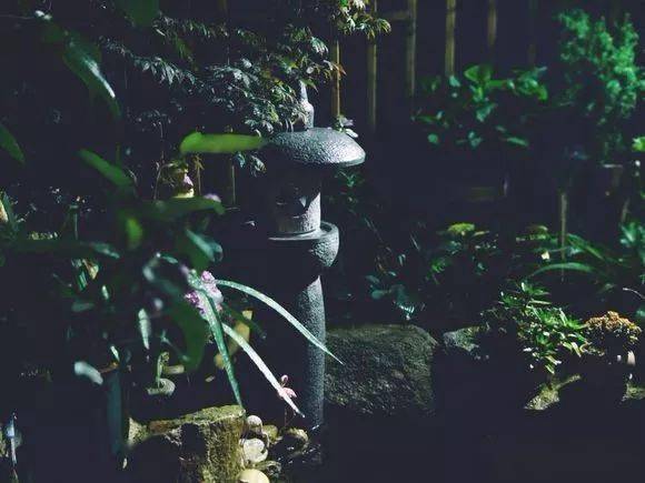 (虫鸣声怎么形容)夏夜清凉中,虫鸣声音如何形容?听了心生平静还是烦躁难耐?