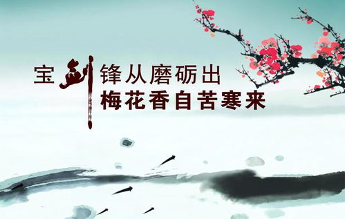 (行炁之法)探究炁术行者的修炼方法与成就,了解其对身心健康的实际影响