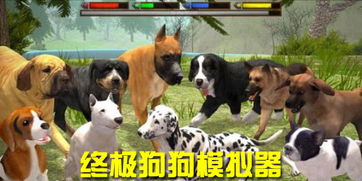 《甜狗模拟器》全角色人物详细介绍与背景故事解析:带你深入了解每个可爱角色的魅力与特点! 《甜狗模拟器》全角色人物详细介绍与背景故事解析:带你深入了解每个可爱角色的魅力与特点!
