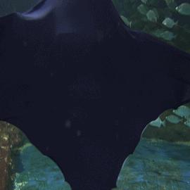 探索无尽奇迹的无限世界第二季:新旅程、新发现、新挑战等待着 探索无尽奇迹的无限世界第二季:新旅程、新发现、新挑战等待着