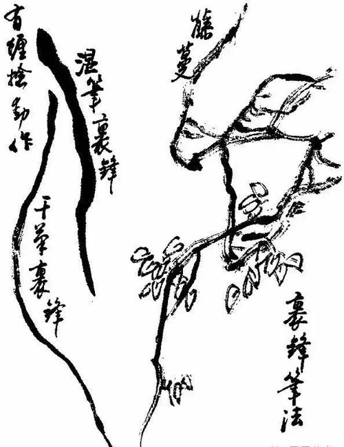 (巨龙怎么画一步一步画)巨龙之息绘画技巧与步骤详解:如何轻松画出栩栩如生的巨龙 (巨龙怎么画一步一步画)巨龙之息绘画技巧与步骤详解:如何轻松画出栩栩如生的巨龙