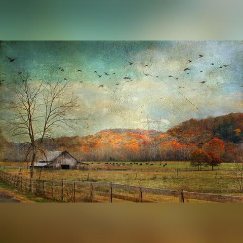 (荒野的召唤怎么改数据)荒原召唤游戏中如何安全高效地更改账户密码详细指导