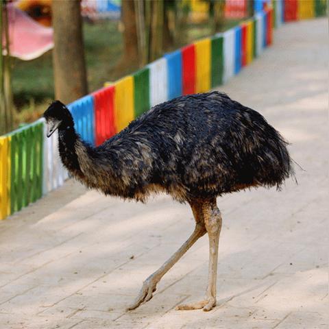 (《我的魔法》)探秘我的魔法王国：完善攻略指南，助你成为顶尖玩家！