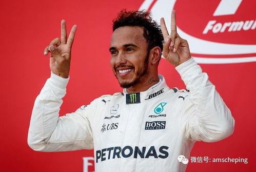 (维塔斯表演)探寻维斯塔的餐桌文化:cv集合了哪些精致品味与独特风貌?