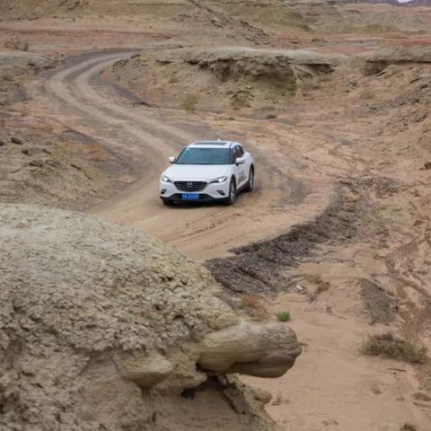 (有没有什么航海贸易的游戏)探索航海贸易物语中的舰船秘境:历史、技术与文化的交融之旅