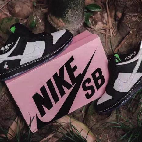 (元素符号sb表示的含义)深入探讨代号sb元素的科学原理及其在现代科技中的应用潜力