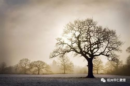捕盗行纪攻略:从入门到精通,掌握抓捕技巧,保护财产安全的最佳指南