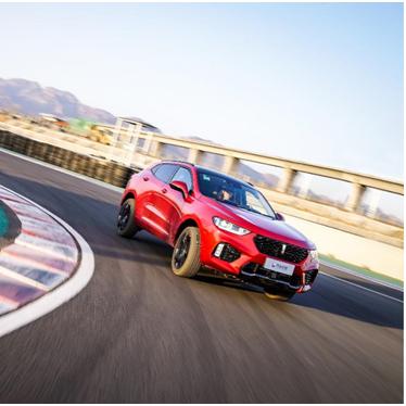 (冒险与征服怎么玩)冒险与征服攻略：全面解析打造高效团队与战斗策略的终极指南