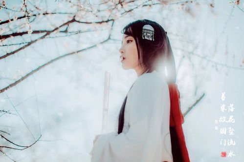 (黑色恋爱史:一情终了,春天还在)黑色恋情又名：阴郁爱情的心理探秘和情感错综交织的故事揭秘