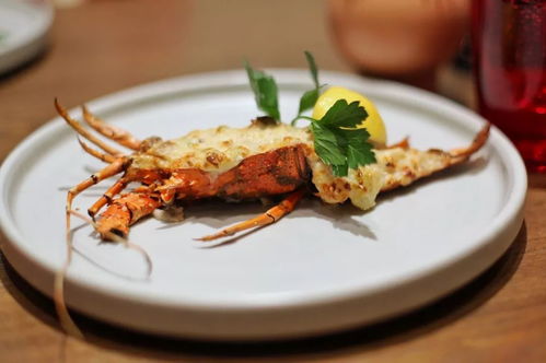 (梦境美食大赛探员难度)探寻梦境食旅：菜谱精研，美食文化探寻之旅