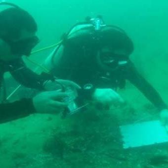 (长安幻想百科)探寻长安幻想吧:古城遗梦,历史飘渺,文化情怀,神秘韵味。