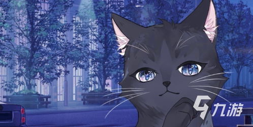 (黑猫奇闻社什么时候上线)黑猫奇闻社为什么总是做不好?黑猫奇闻社到底烂在哪里? (黑猫奇闻社什么时候上线)黑猫奇闻社为什么总是做不好?黑猫奇闻社到底烂在哪里?