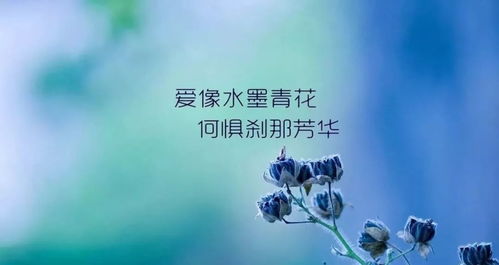 探讨异于常规的恋爱方式：《非常规恋爱》带来的人生启示和浪漫情感