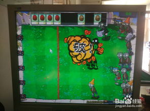 (你能会玩过坚果保龄球吗)探索坚果保龄球攻略：如何成为保龄球场上的高手？