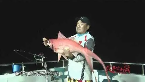 楚新钓终极挑战：征服神秘巨鳌龙王，挑战你的钓鱼技能