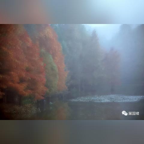 (苏醒介绍)苏醒因表现突出被央视点名表扬,引发粉丝热议与广泛关注 (苏醒介绍)苏醒因表现突出被央视点名表扬,引发粉丝热议与广泛关注