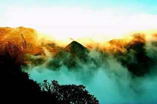 (突兀什么意思,具体指什么)突兀异常现象：揭开优柔寡断行为背后的谜团