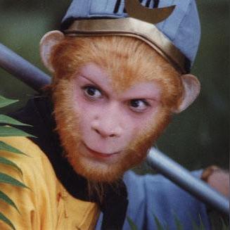 (造梦西游2唐僧掉落图鉴)完整指南:如何在造梦西游2游戏中成功攻略唐僧角色 (造梦西游2唐僧掉落图鉴)完整指南:如何在造梦西游2游戏中成功攻略唐僧角色