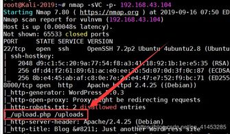 (光明重影门打不破)光明重影密码门：探究神秘的谜题，解开隐藏在黑暗中的奥秘