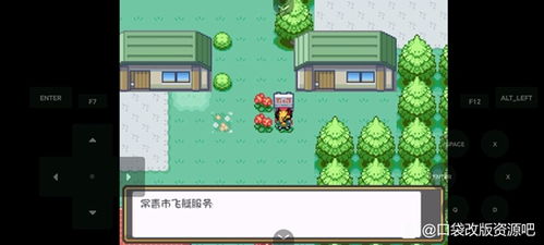 (口袋妖怪钻石攻略图解二周目)口袋妖怪钻石攻略图解三周目：全面攻略让你成为游戏高手！