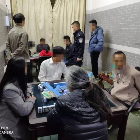 探讨芝麻红中麻将的公正性：是否存在作弊现象及其影响分析