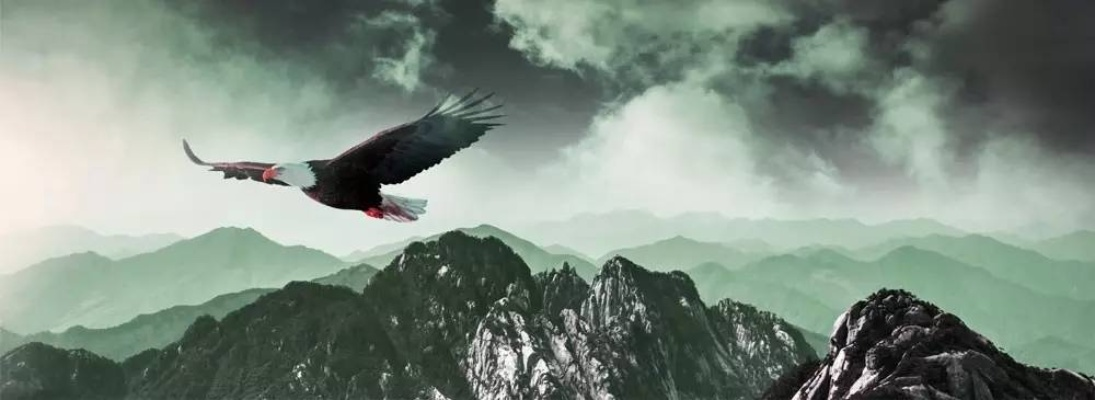 (雄风豪迈)雄风凌云，豪气压群雄，使命在肩，闯尽群雄，一路独行