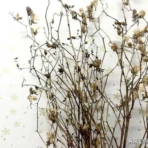 (烈焰飞雪手机新版本)烈焰飞雪单机版最新版本详解：全新特色玩法与系统更新一览