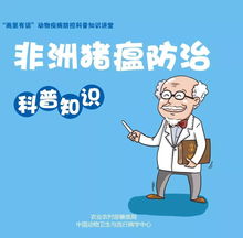 在文明岔口，值得推荐的阵容选择：持文明与理性并重，实现共赢共荣。