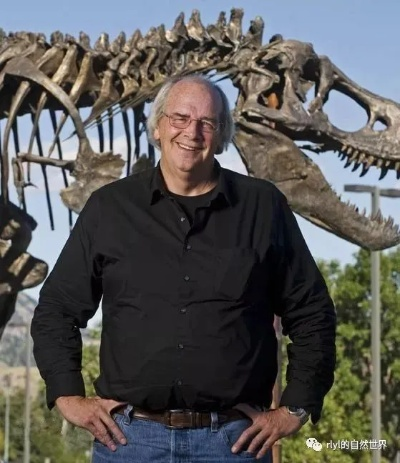 探寻史前巨兽的奥秘:成为恐龙考古大师,无需广告打扰的全新体验 探寻史前巨兽的奥秘:成为恐龙考古大师,无需广告打扰的全新体验