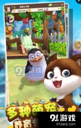 天天萌宠生活会馆：打造宠物世界里的温馨乐园，给你和你的宠物最美好的时光