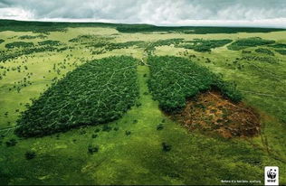 打造纯净世界，希望之村无广告，呵护自然环境，精美景色尽揽眼前