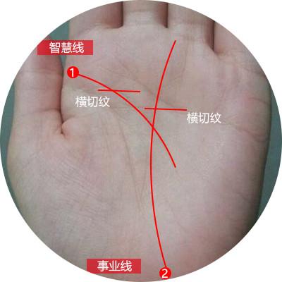 探索手相命运线的奥秘:如何通过手掌读懂你的人生轨迹与未来发展潜力 探索手相命运线的奥秘:如何通过手掌读懂你的人生轨迹与未来发展潜力