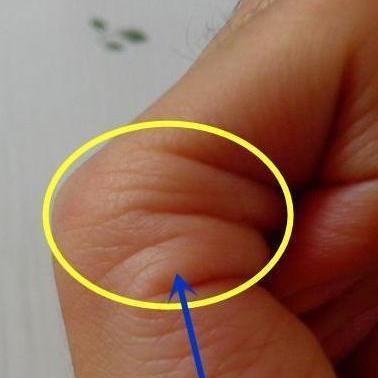 探索手相命运线的奥秘：如何通过手掌读懂你的人生轨迹与未来发展潜力