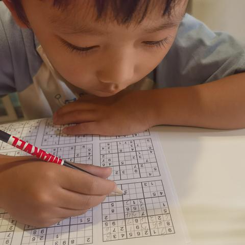 (数独涂鸦)数涂不是数独攻略:发现两种不同的数字填充乐趣 (数独涂鸦)数涂不是数独攻略:发现两种不同的数字填充乐趣