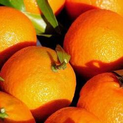 (全民切水果大赛)全员削水果公众号：打造健康生活新方式，共享水果幸福时光