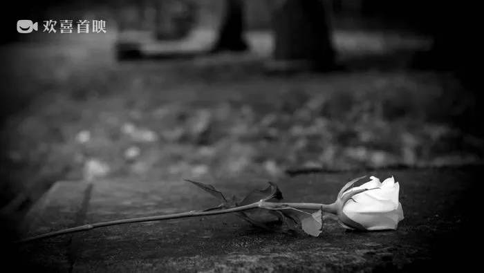 怨偶歌词：倾诉爱恨情仇，抒发心灵痛苦，描绘失落孤独的音乐之声