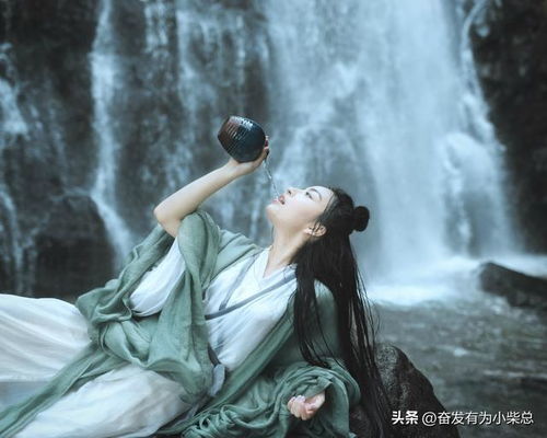 我在长安开酒肆汉化版正版：体验古风酒肆经营的独特乐趣与挑战