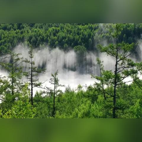 重磅热播！《遮天真人版电视剧》全集一网打尽，精彩剧情不容错过