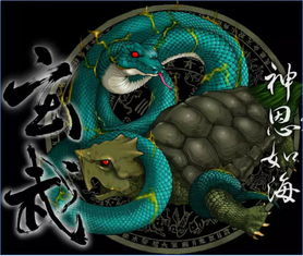 (玄武战术)揭秘神秘的军事代号玄武：隐藏在黑暗中的力量和秘密