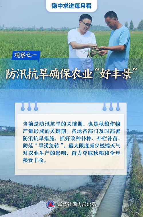 (逆光代售交易平台)逆光代售：专业代售服务，让您的产品走进更广阔的市场领域。