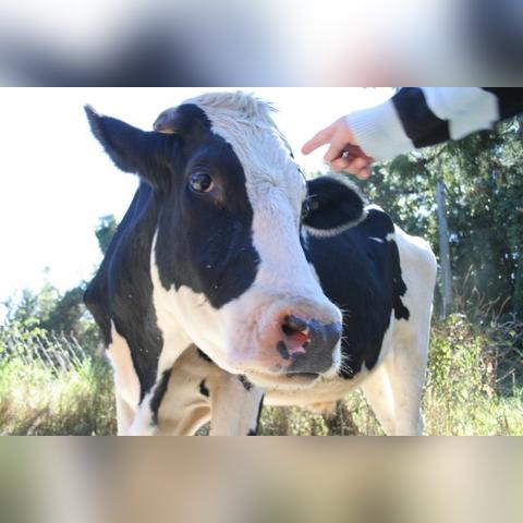 (外星人 平板)探索神秘科技：外星人风暴平板电脑的奇幻功能与未来潜力