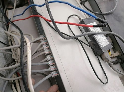 探索电驴苹果官网安装的教程和技巧，轻松学会如何在设备上安装电驴苹果官网应用程序