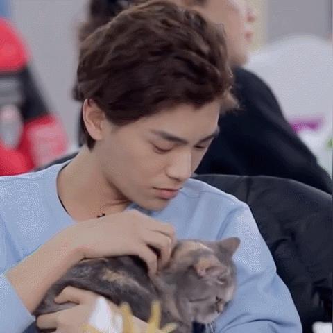 (吸猫好不好)每次吸猫都会带来意外惊喜，让我的生活充满喜悦和惊喜