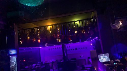 杯莫停上一句是什么，畅饮不停的诗意时刻，舞动在夜晚的欢乐节奏中