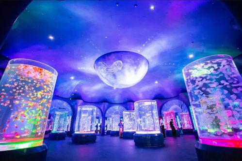 探索海昌海洋公园攻略:从海底世界到极致亲子乐园,畅享全方位海洋奇遇! 探索海昌海洋公园攻略:从海底世界到极致亲子乐园,畅享全方位海洋奇遇!