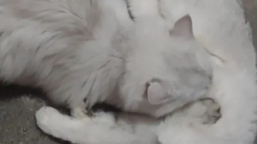 (奶瘾怎么戒掉)奶瘾已成瘾？骨科沈医生明示不可，如何解除奶制品依赖？