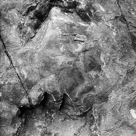 (关于龙的出现真实事件)探寻神秘龙的足迹：人们分享的见过龙的真实经历和故事