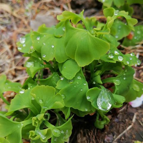 万象物语wiki：探索无限可能的神奇世界，揭开未知奇迹的秘密，发现万千物语的奇幻之旅