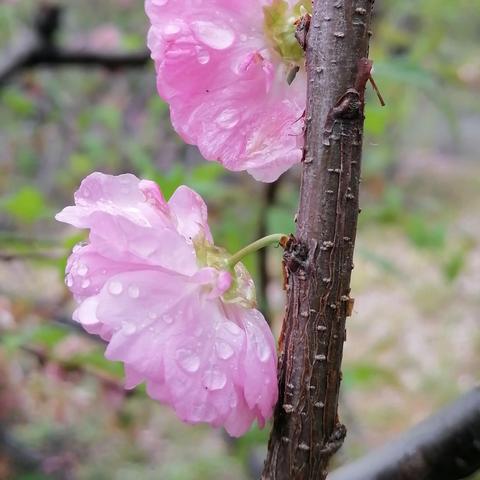 万象物语wiki:探索无限可能的神奇世界,揭开未知奇迹的秘密,发现万千物语的奇幻之旅 万象物语wiki:探索无限可能的神奇世界,揭开未知奇迹的秘密,发现万千物语的奇幻之旅